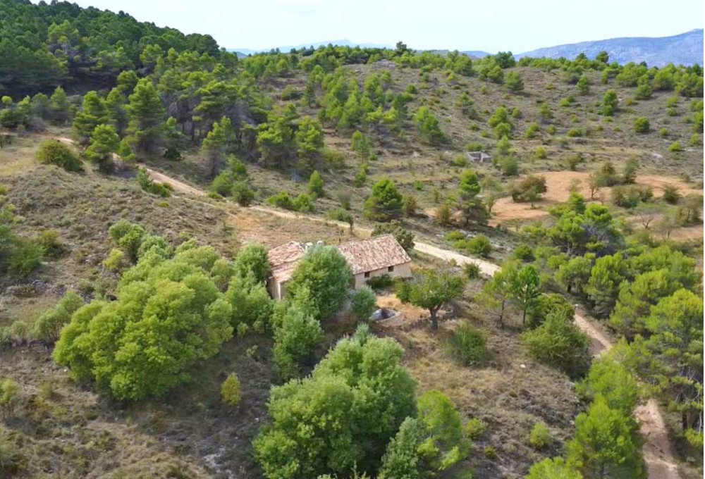 Finca for sale in the municipality of Confrides - Plot: 90.000m2 - Asking price: 149.000€