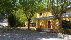 rustic hous for sale anna area valencia province